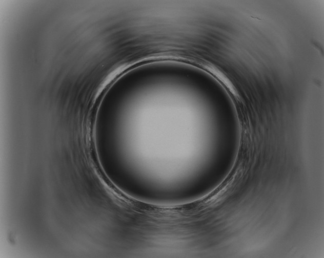 X0000091721101200708311132