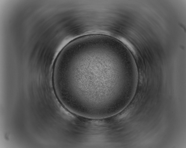 X0000091721102200708311132