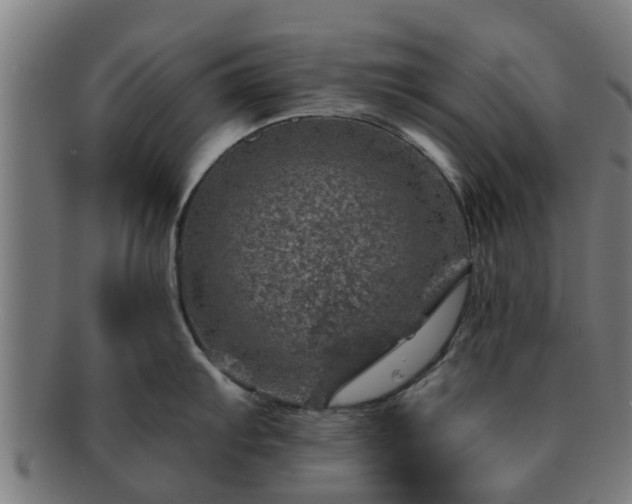 X0000091721103200708311132