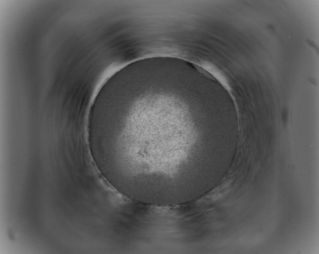 X0000091721104200708311132