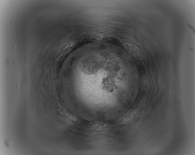 X0000091721105200708311132