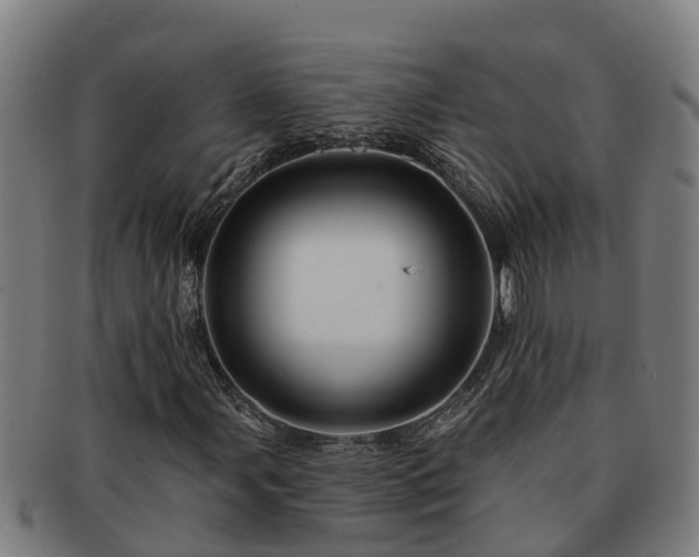 X0000091721107200708311132