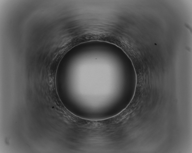 X0000091721109200708311132
