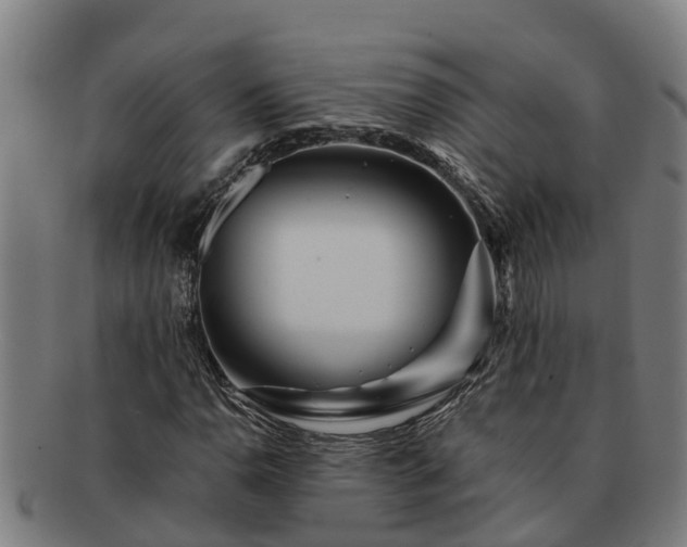 X0000091721110200708311132