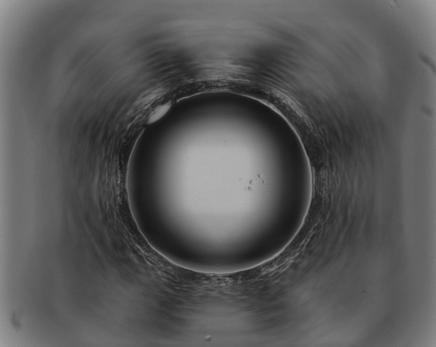 X0000091721111200708311132
