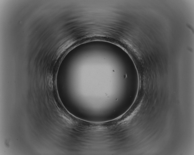 X0000091721113200708311132