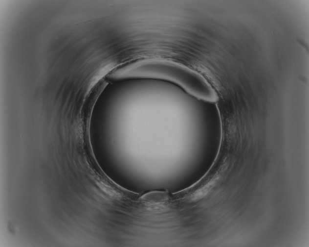 X0000091721114200708311132