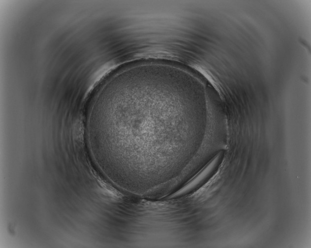 X0000091721115200708311132