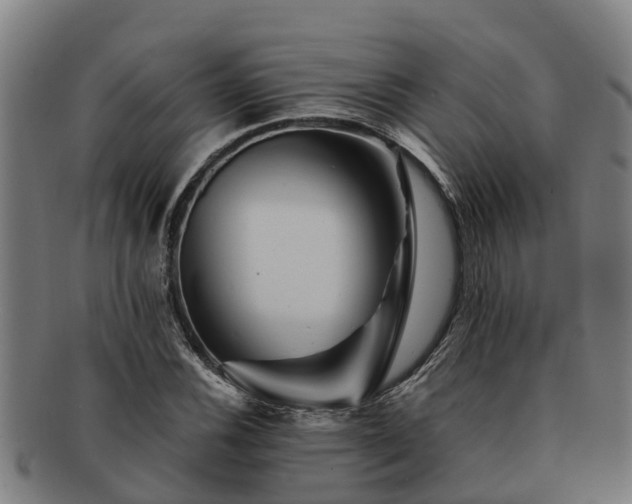 X0000091721116200708311132