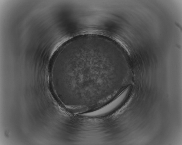 X0000091721117200708311132