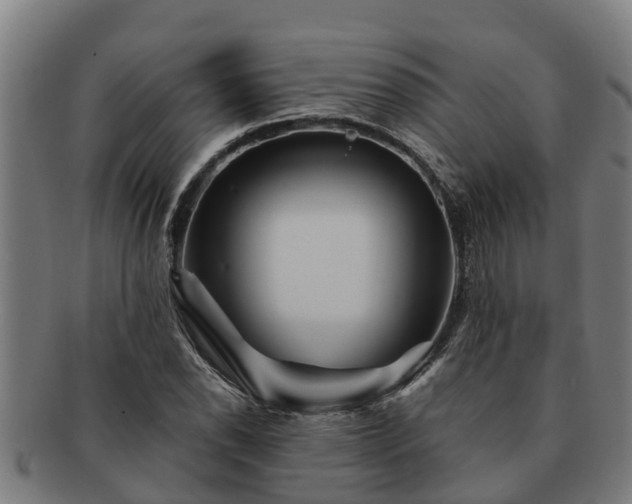 X0000091721118200708311132