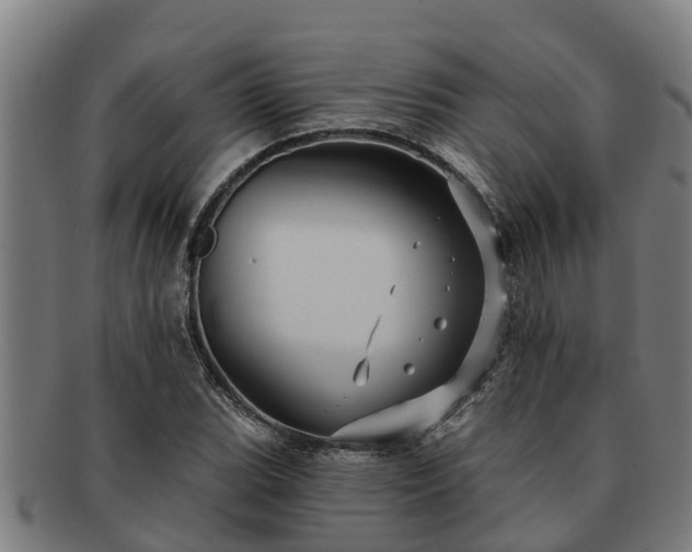 X0000091721119200708311132
