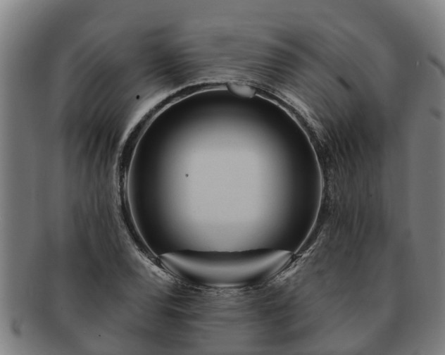 X0000091721120200708311132