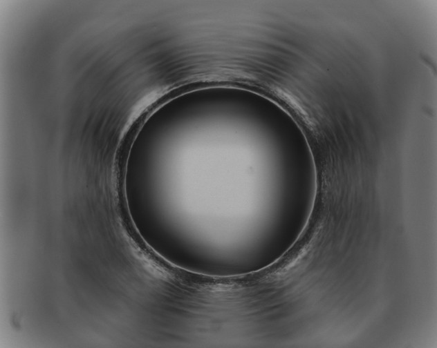 X0000091721122200708311132