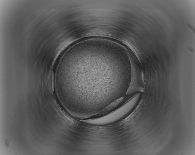 X0000091721123200708311132