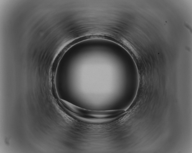 X0000091721124200708311132