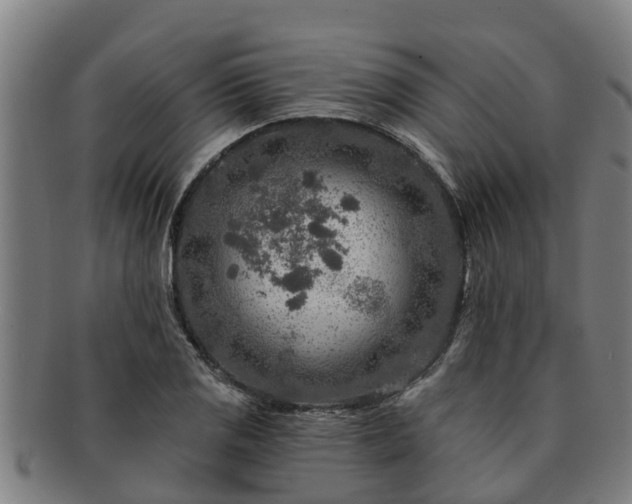 X0000091721125200708311132