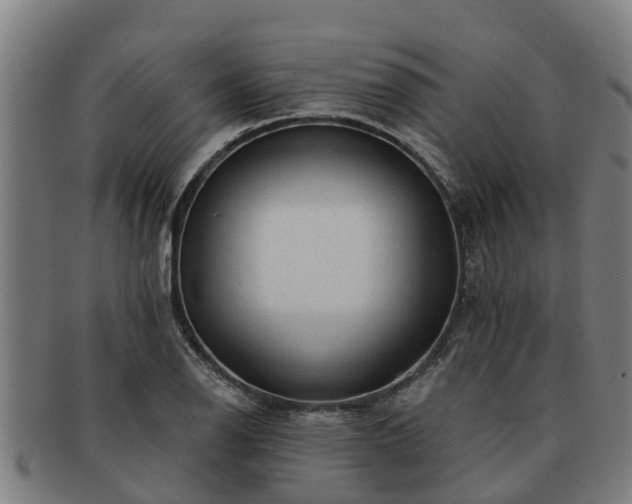 X0000091721126200708311132