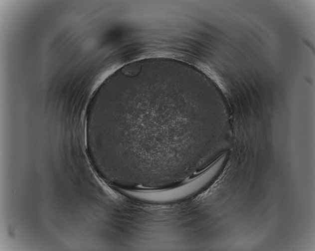 X0000091721127200708311132