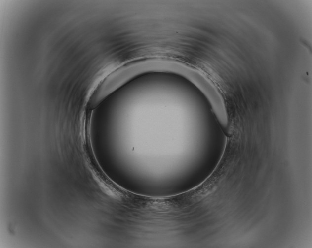 X0000091721128200708311132