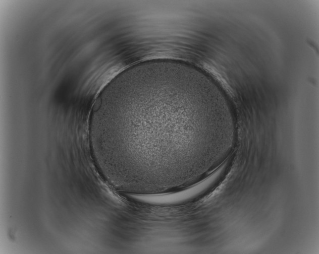 X0000091721129200708311132