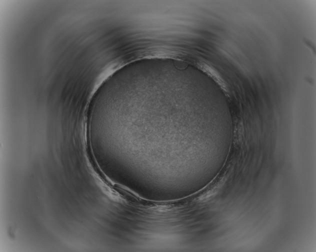 X0000091721130200708311132