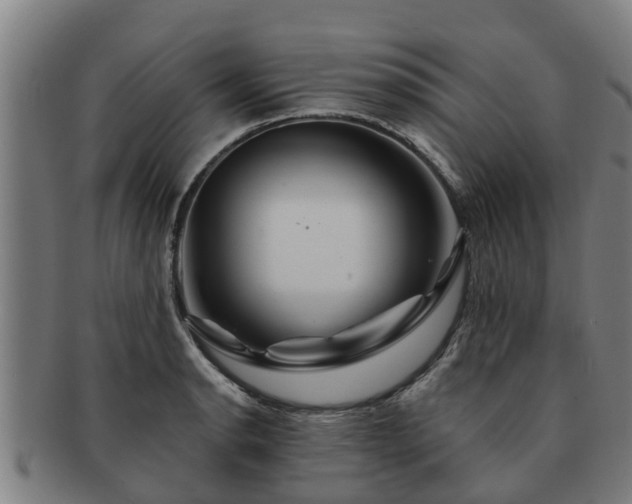 X0000091721134200708311132