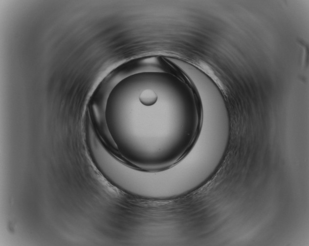 X0000091721140200708311132