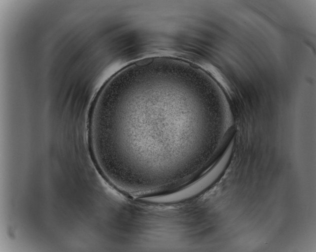 X0000091721143200708311132