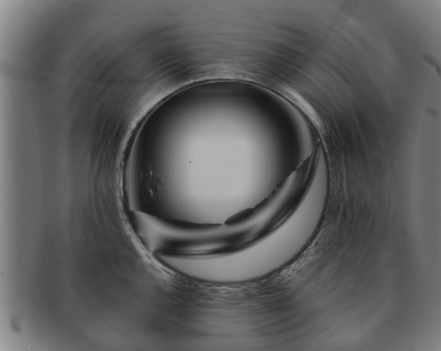 X0000091721144200708311132