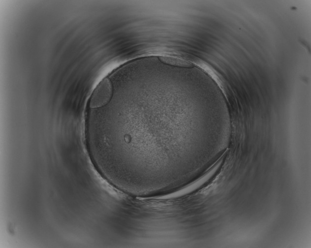 X0000091721147200708311132