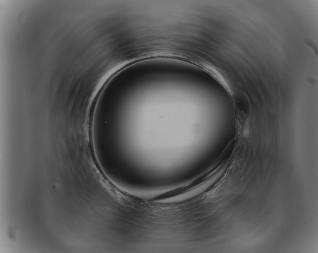 X0000091721148200708311132