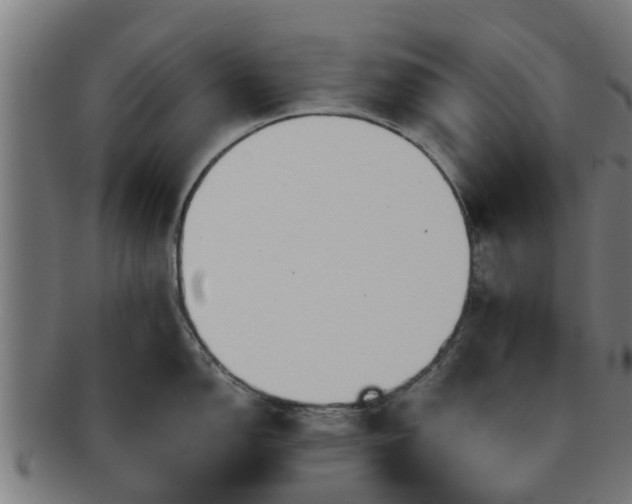 X0000091721150200708311132