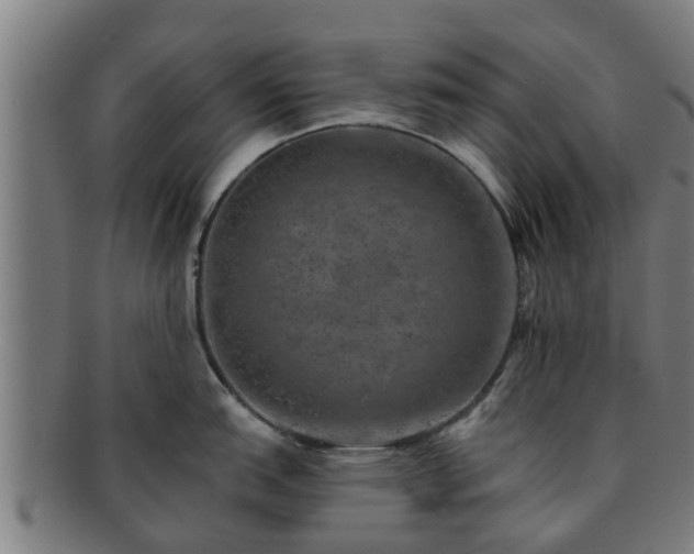 X0000091721151200708311132