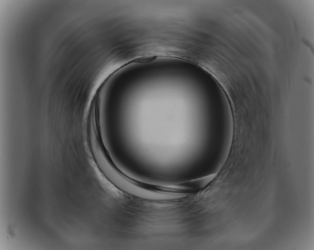 X0000091721152200708311132