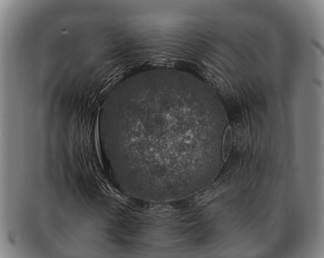 X0000091721154200708311132