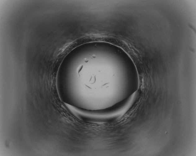 X0000091721157200708311132