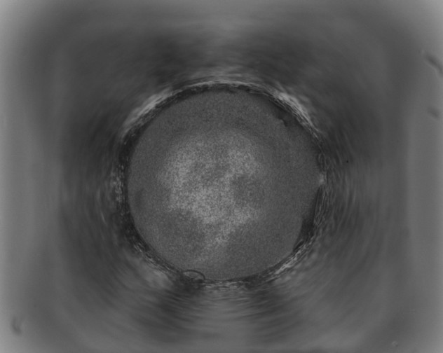 X0000091721159200708311131