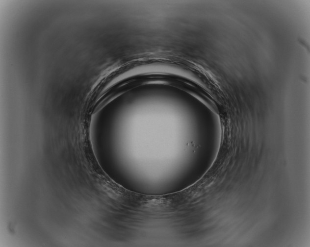 X0000091721160200708311131