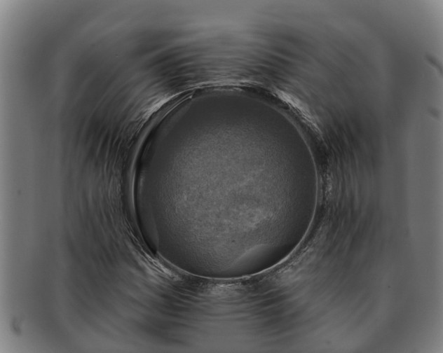 X0000091721161200708311131