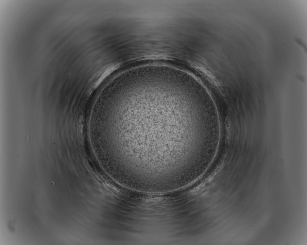 X0000091721162200708311131