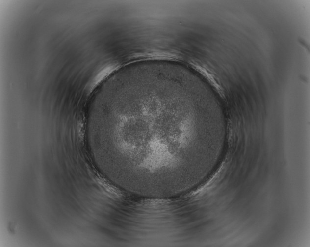 X0000091721163200708311131