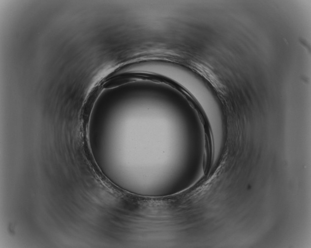 X0000091721164200708311131
