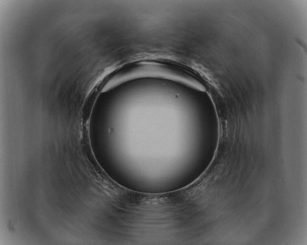 X0000091721165200708311131