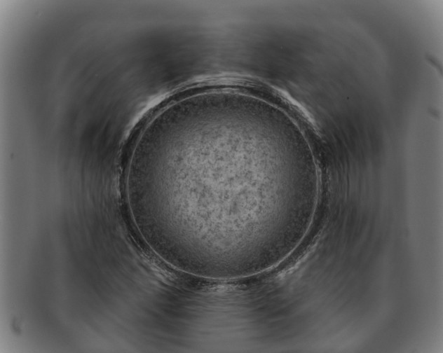 X0000091721166200708311131