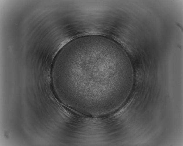 X0000091721170200708311131