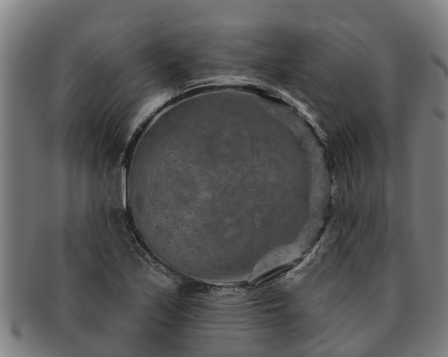 X0000091721171200708311131