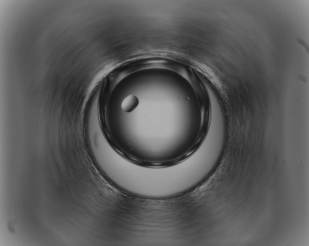 X0000091721172200708311131