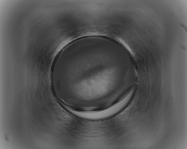 X0000091721173200708311131