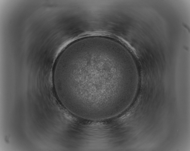 X0000091721174200708311131